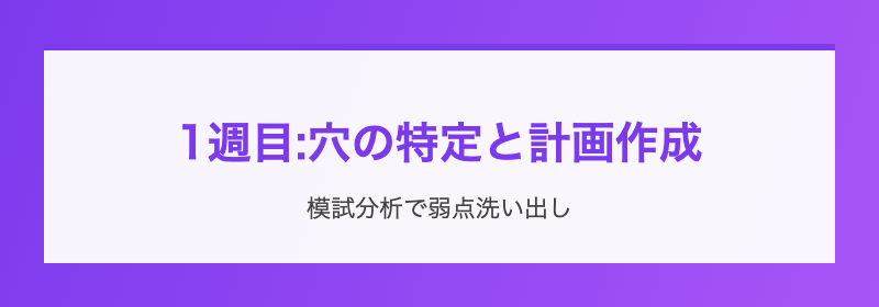 1週目:分析