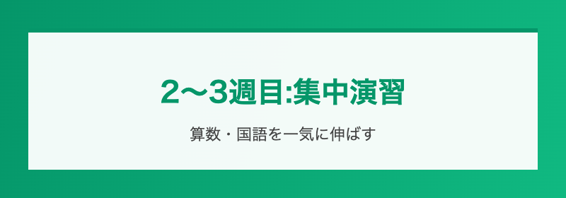 2-3週目:集中演習