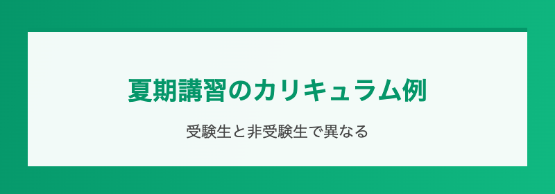 夏期講習のカリキュラム例
