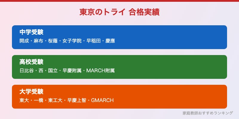東京のトライの合格実績