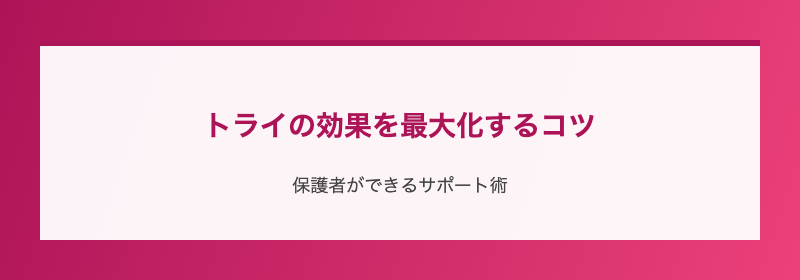トライの効果を最大化するコツ
